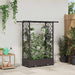 Hevet Bed med Trellis og Tak Brun 122,5 x 40 x 123 cm PP