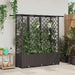 Hevet Bed med Trellis og Tak Brun 162,5 x 40 x 138 cm PP