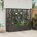 Hevet Bed med Trellis og Tak Brun 202 x 40 x 136 cm PP