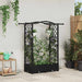Hevet Bed med Trellis og Tak Svart 124 x 40 x 125 cm PP