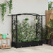 Hevet Bed med Trellis og Tak Svart 169 x 40 x 125 cm PP