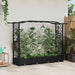 Hevet Bed med Trellis og Tak Svart 207 x 40 x 126 cm PP