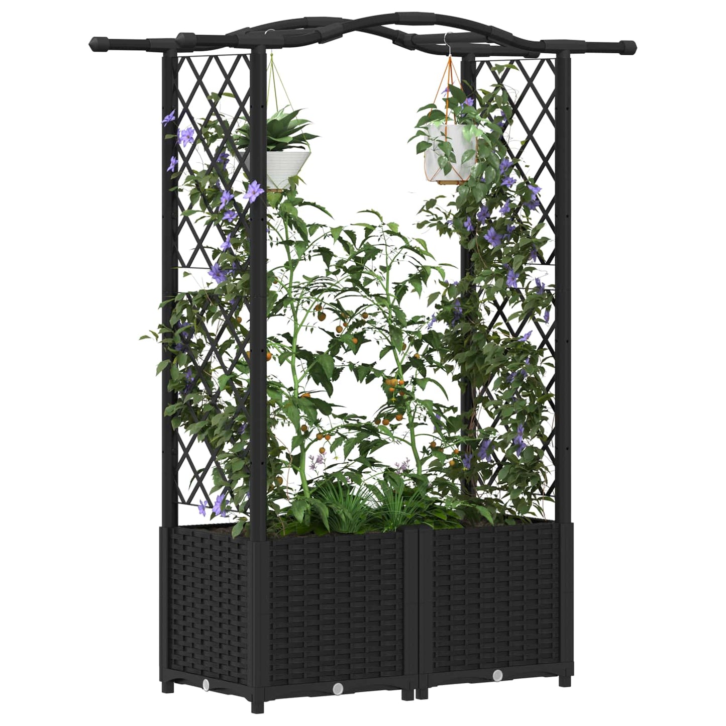 Hevet Bed med Trellis og Tak Svart 125 x 40 x 138 cm PP