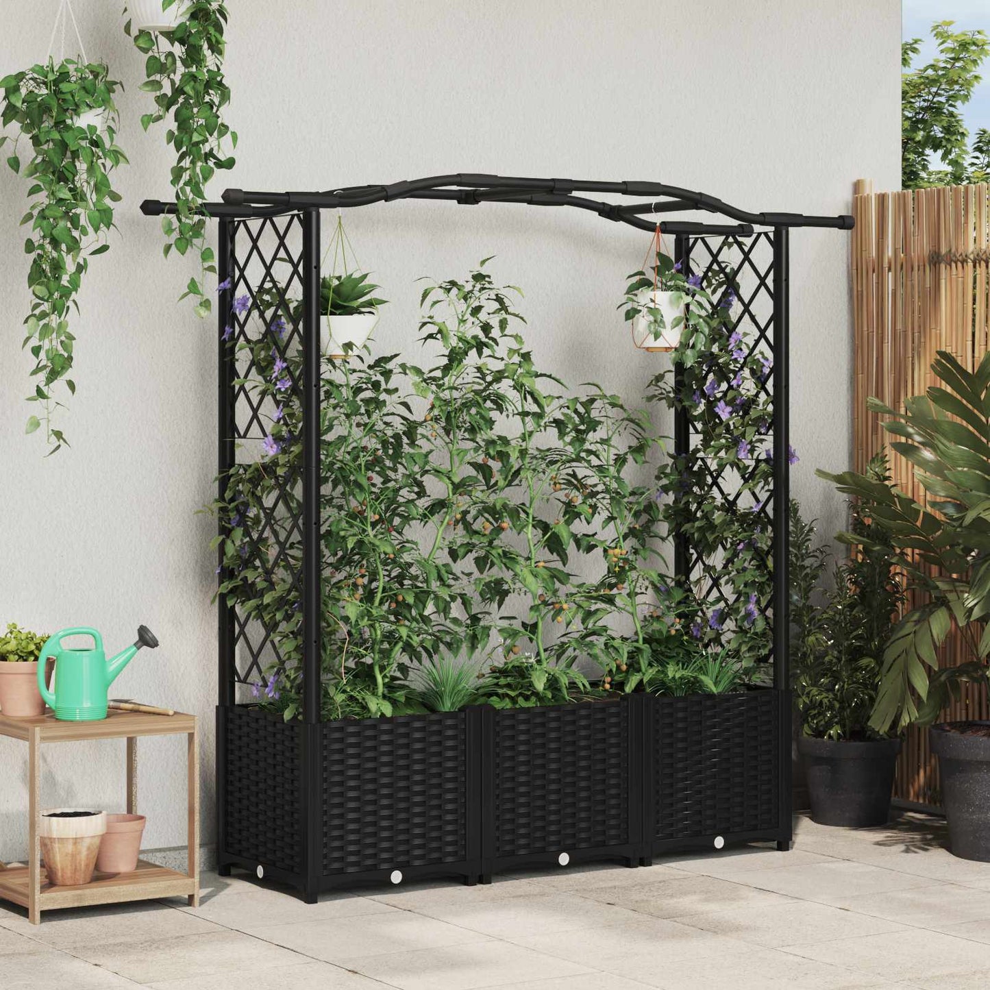Hevet Bed med Trellis og Tak Svart 164 x 40 x 142 cm PP