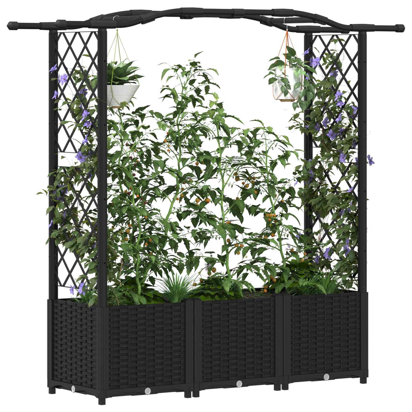 Hevet Bed med Trellis og Tak Svart 164 x 40 x 142 cm PP