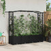 Hevet Bed med Trellis og Tak Svart 204 x 40 x 141 cm PP