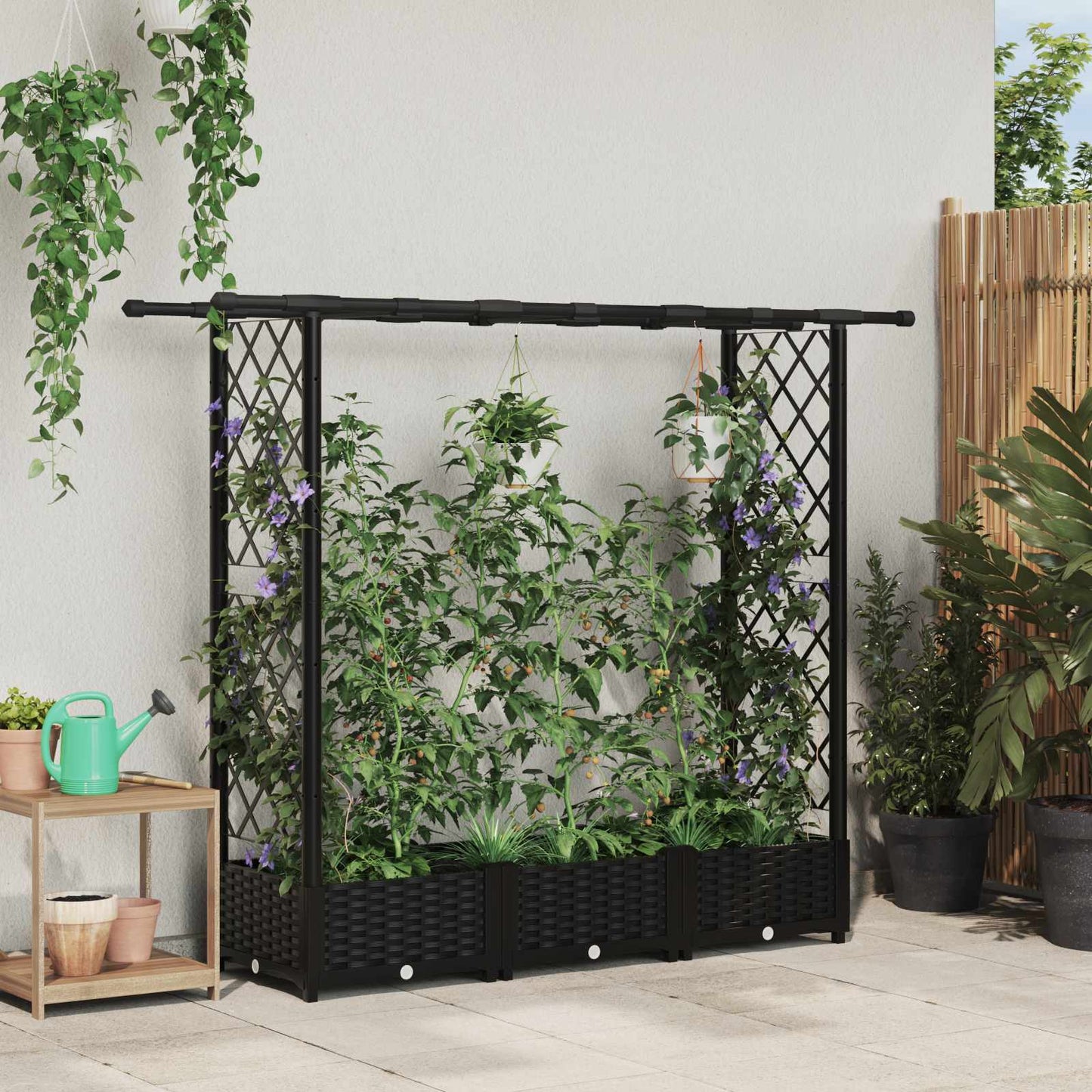 Hevet Bed med Trellis og Tak Svart 164 x 40 x 123 cm PP