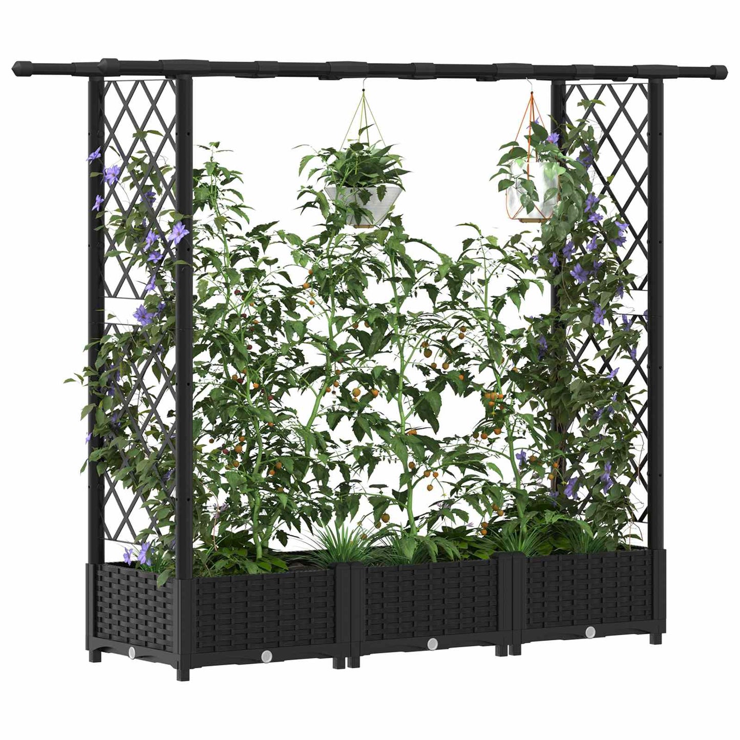 Hevet Bed med Trellis og Tak Svart 164 x 40 x 123 cm PP