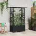 Hevet Bed med Trellis og Tak Svart 124,5 x 40 x 138 cm PP