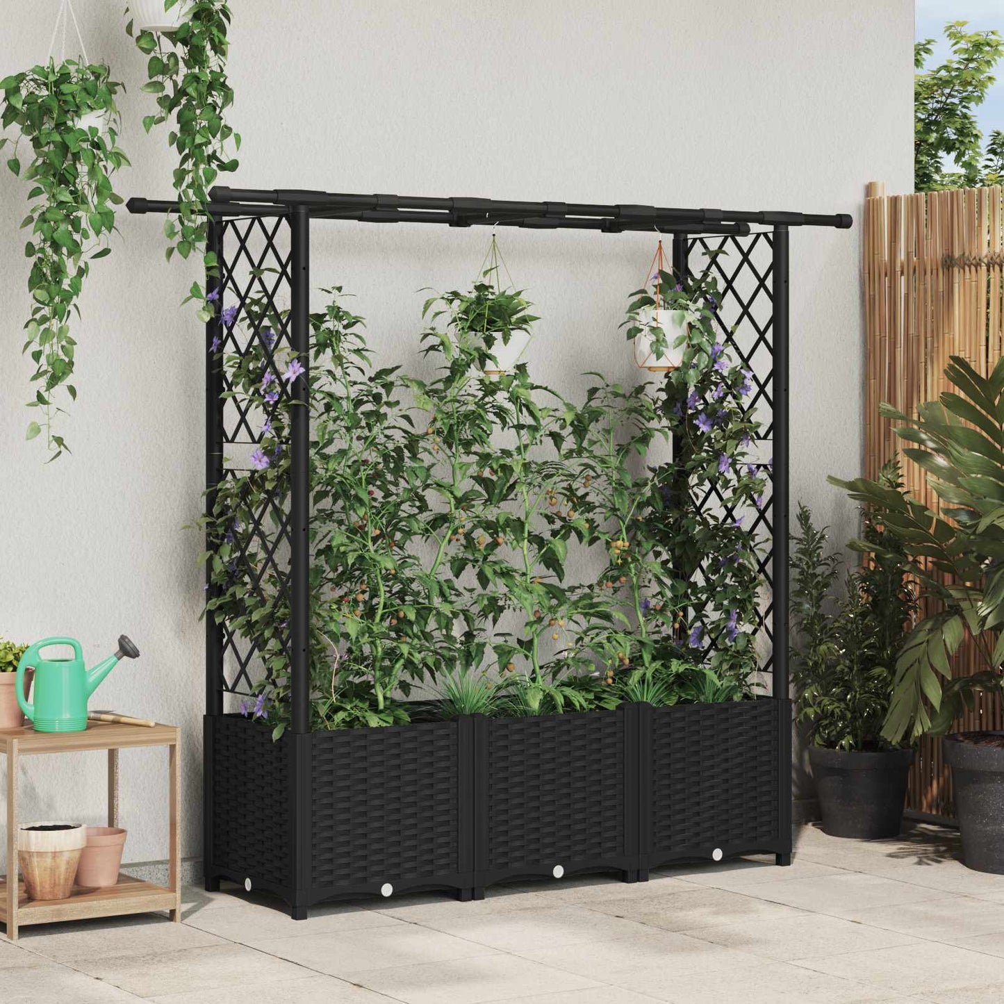 Hevet Bed med Trellis og Tak Svart 162,5 x 40 x 138 cm PP