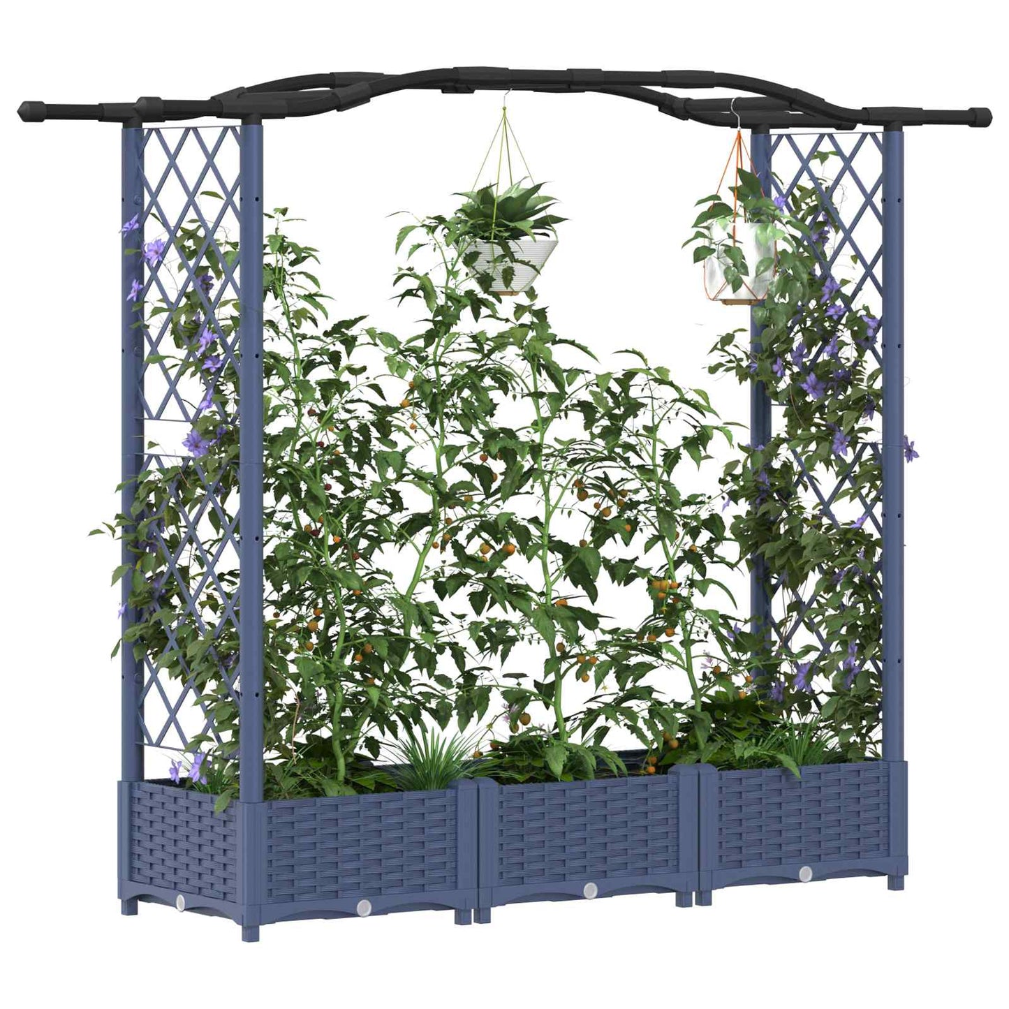 Hevet Bed med Trellis og Tak Grå 169 x 40 x 125 cm PP