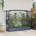 Hevet Bed med Trellis og Tak Grå 207 x 40 x 126 cm PP