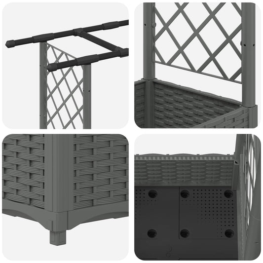 Hevet Bed med Trellis og Tak Lysegrå 203 x 40 x 121 cm PP