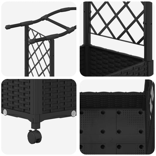 Hevet Bed med Trellis og Tak Svart 124 x 40 x 129 cm PP