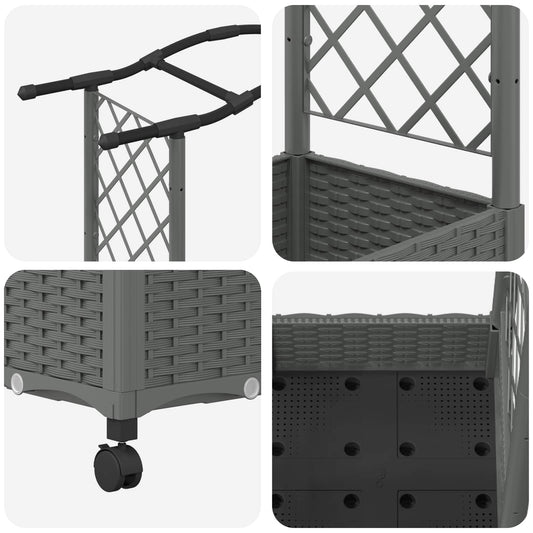 Hevet Bed med Trellis og Tak Lysegrå 124 x 40 x 129 cm PP