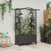 Hevet Bed med Trellis og Tak Brun 125 x 40 x 144 cm PP