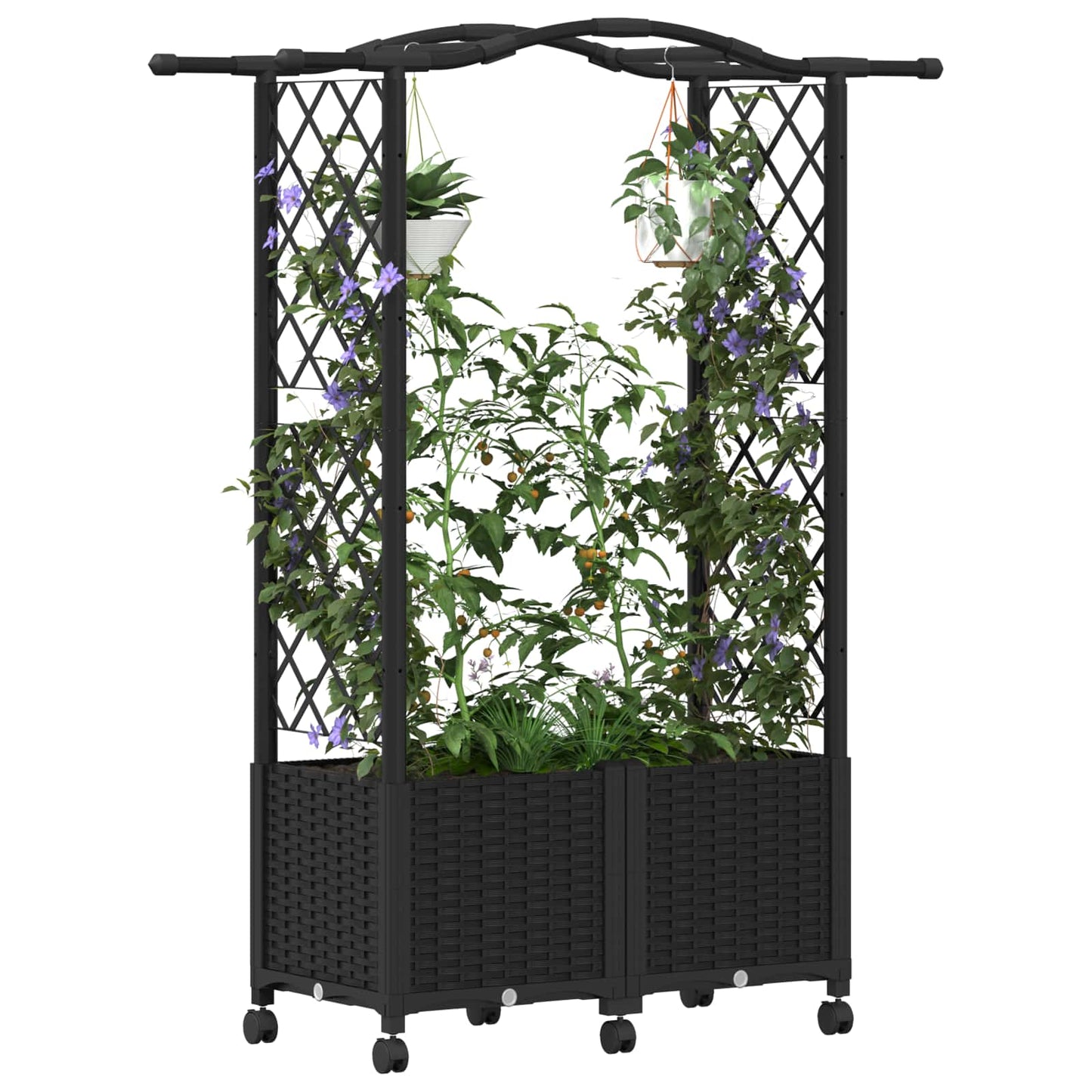 Hevet Bed med Trellis og Tak Svart 125 x 40 x 144 cm PP