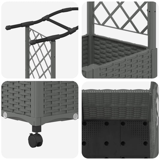 Hevet Bed med Trellis og Tak Lysegrå 125 x 40 x 144 cm PP