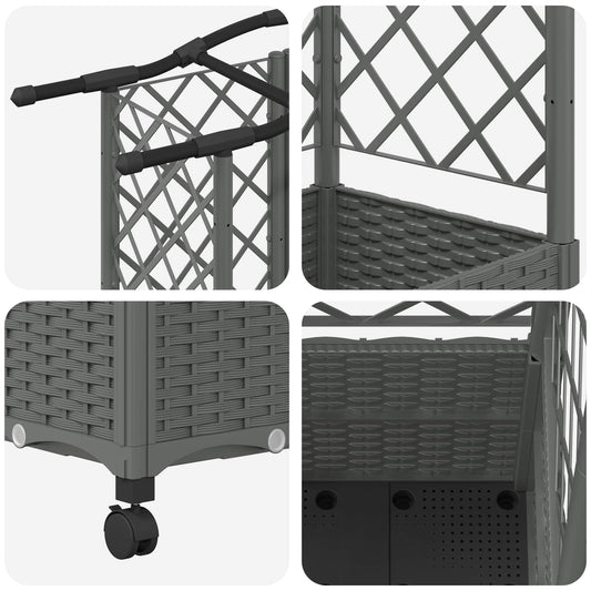 Hevet Bed med Trellis og Tak Lysegrå 122 x 40 x 144 cm PP