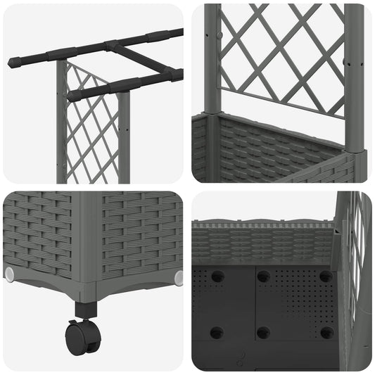 Hevet Bed med Trellis og Tak Lysegrå 122,5 x 40 x 127 cm PP