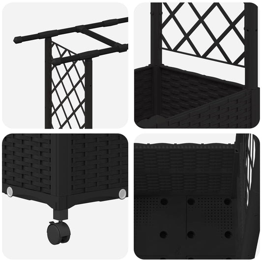 Hevet Bed med Trellis og Tak Svart 124,5 x 40 x 142 cm PP