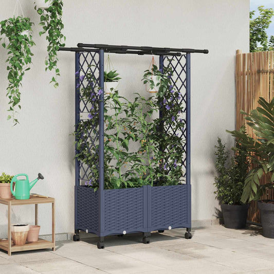 Hevet Bed med Trellis og Tak Grå 124,5 x 40 x 142 cm PP