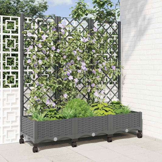 Hageplanter med espalier og hjul Lysegrå 120 x 40 x 131,5 cm PP