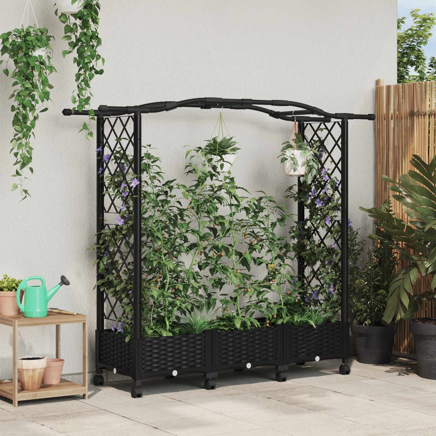 Hevet Bed med Trellis og Tak Svart 169 x 40 x 129 cm PP