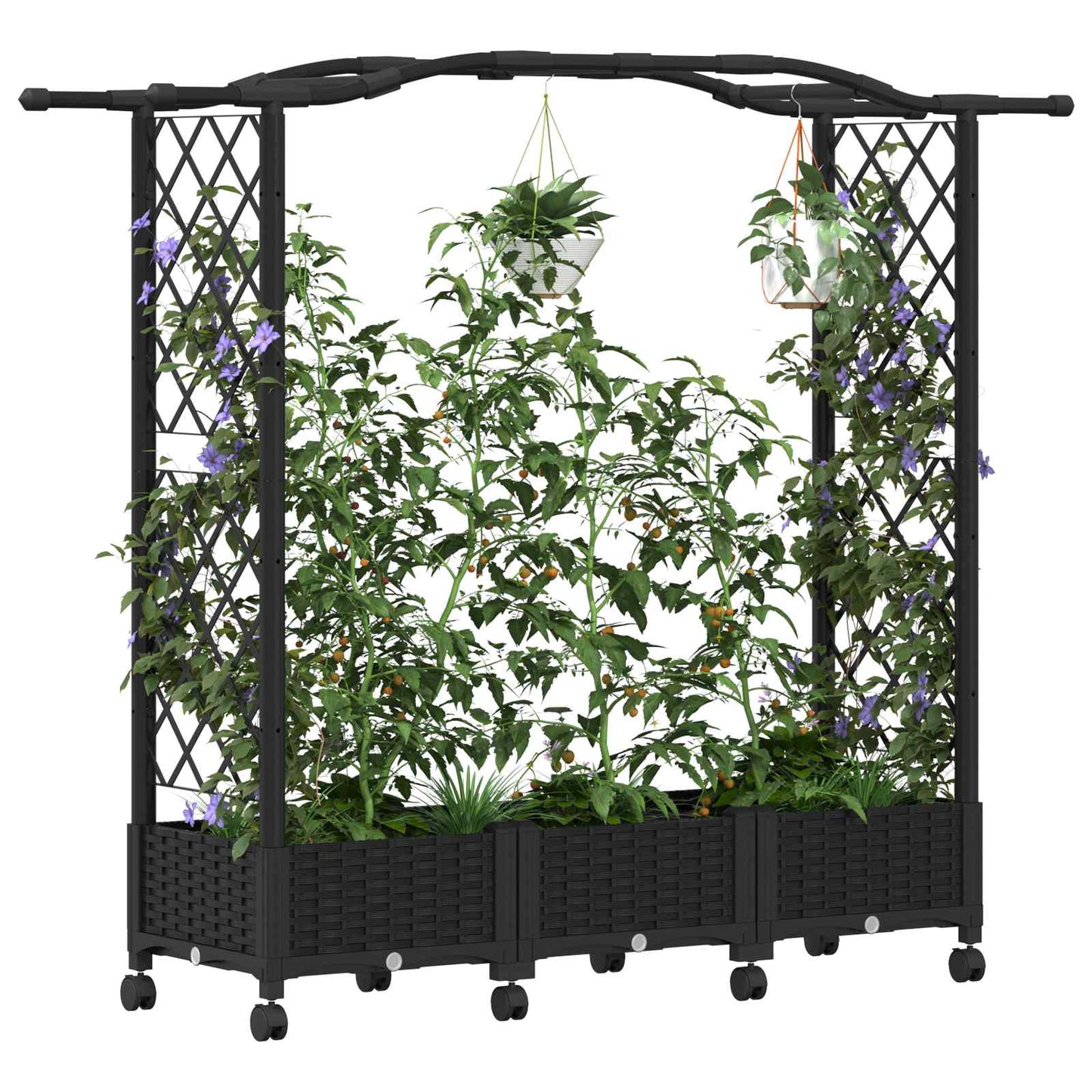 Hevet Bed med Trellis og Tak Svart 169 x 40 x 129 cm PP