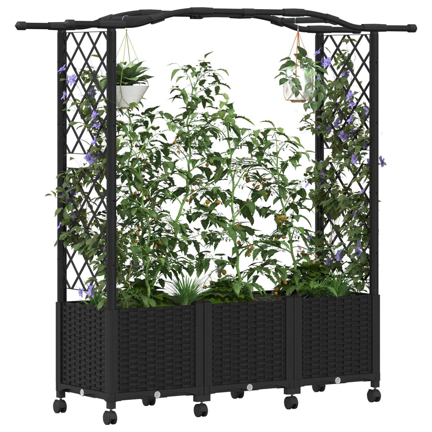 Hevet Bed med Trellis og Tak Svart 164 x 40 x 144 cm PP