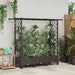 Hevet Bed med Trellis og Tak Brun 164 x 40 x 127 cm PP