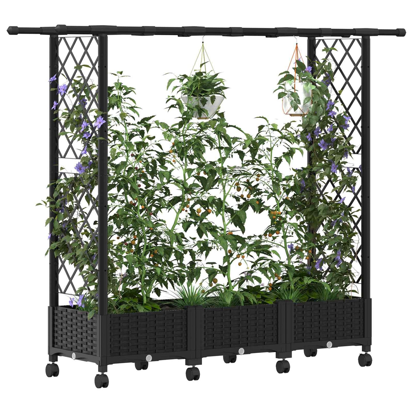 Hevet Bed med Trellis og Tak Svart 164 x 40 x 127 cm PP