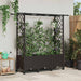 Hevet Bed med Trellis og Tak Brun 162,5 x 40 x 142 cm PP