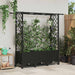 Hevet Bed med Trellis og Tak Svart 162,5 x 40 x 142 cm PP