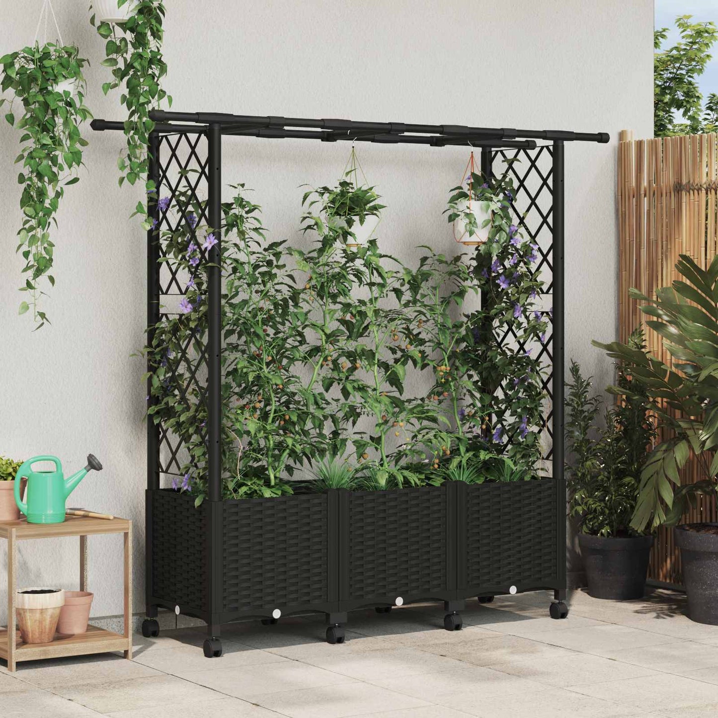 Hevet Bed med Trellis og Tak Svart 162,5 x 40 x 142 cm PP
