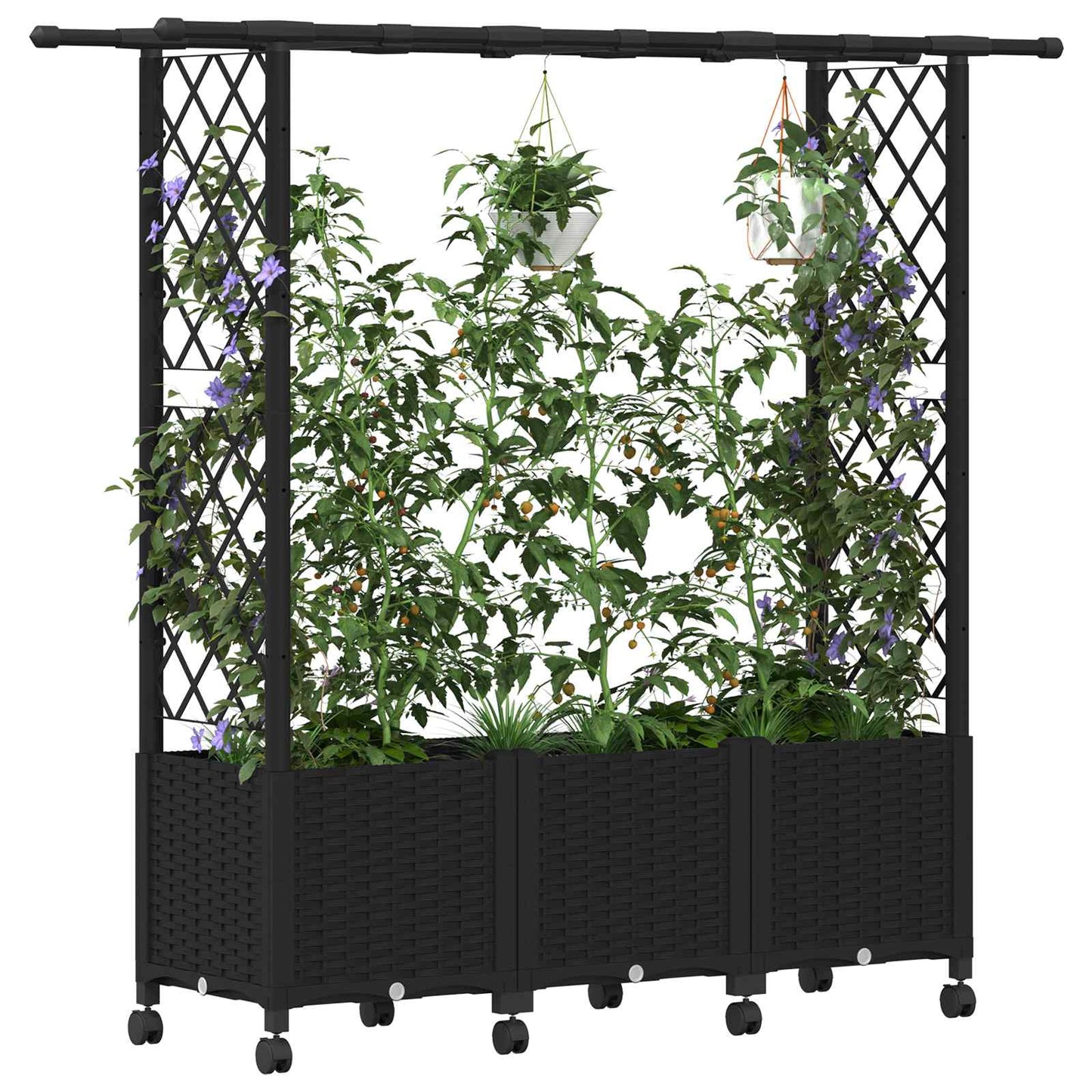 Hevet Bed med Trellis og Tak Svart 162,5 x 40 x 142 cm PP