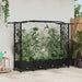 Hevet Bed med Trellis og Tak Svart 207 x 40 x 129 cm PP