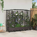 Hevet Bed med Trellis og Tak Brun 203,5 x 40 x 129 cm PP