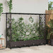 Hevet Bed med Trellis og Tak Brun 203 x 40 x 127 cm PP