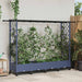 Hevet Bed med Trellis og Tak Grå 203 x 40 x 127 cm PP