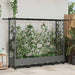 Hevet Bed med Trellis og Tak Lysegrå 203 x 40 x 127 cm PP