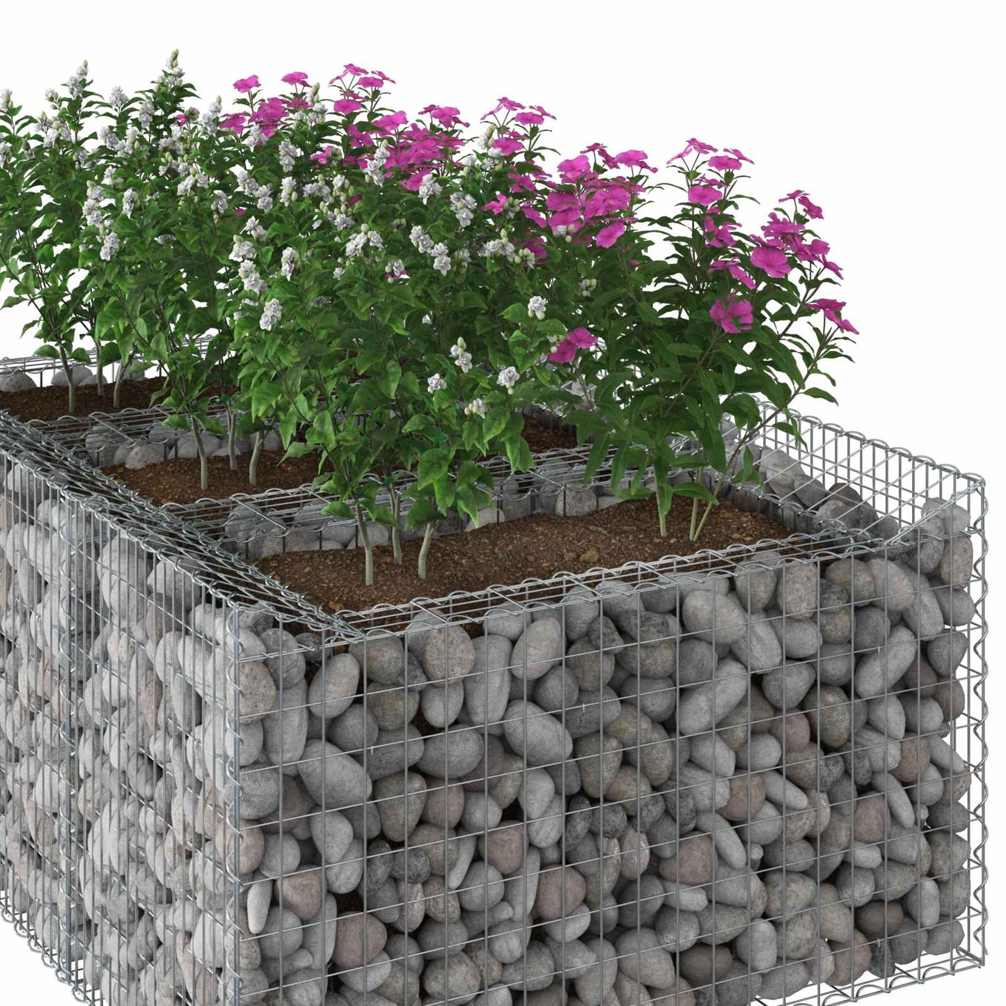Gabion hevet seng Sølv