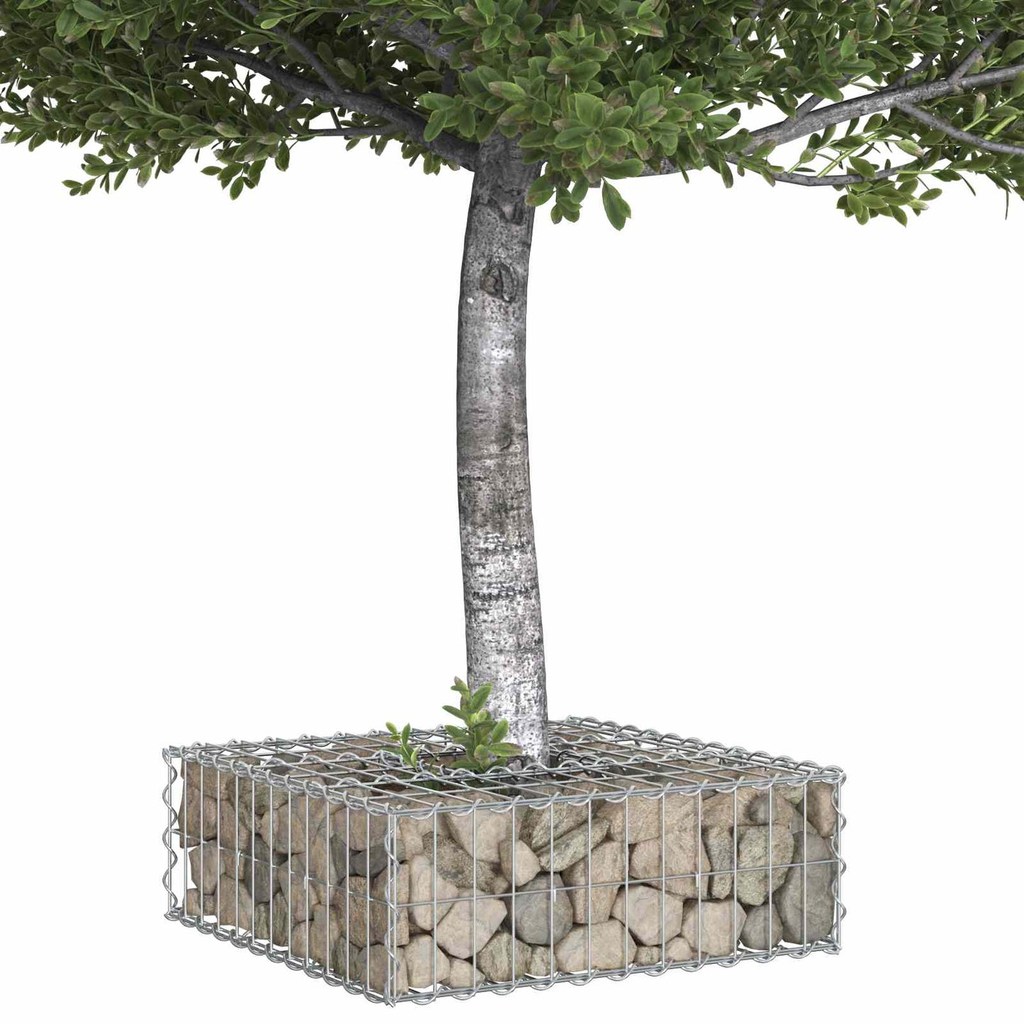 Gabion hevet seng sølv