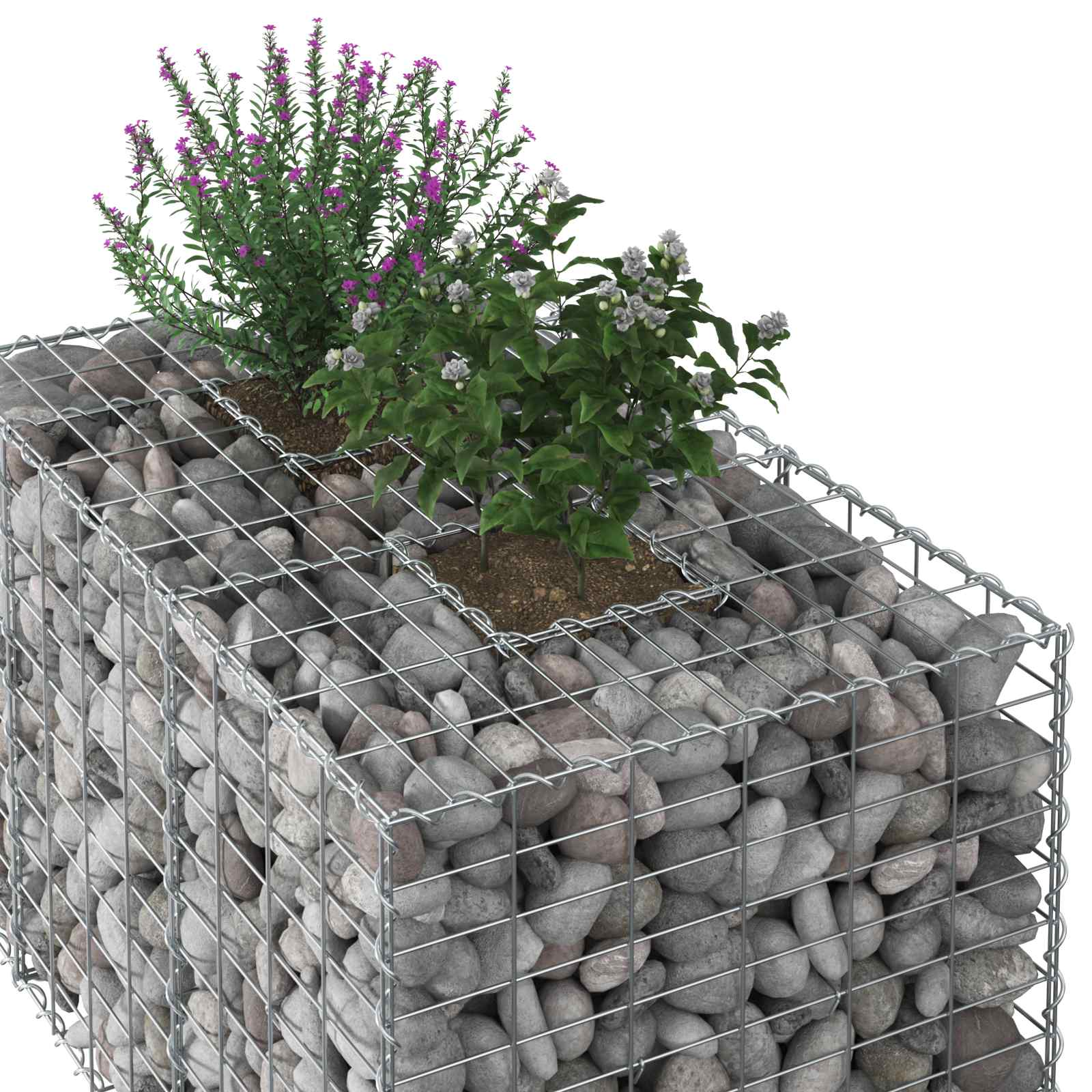 Gabion hevet seng sølv 100 x 60 x 55 cm Galvanisert Stål vidaXL
