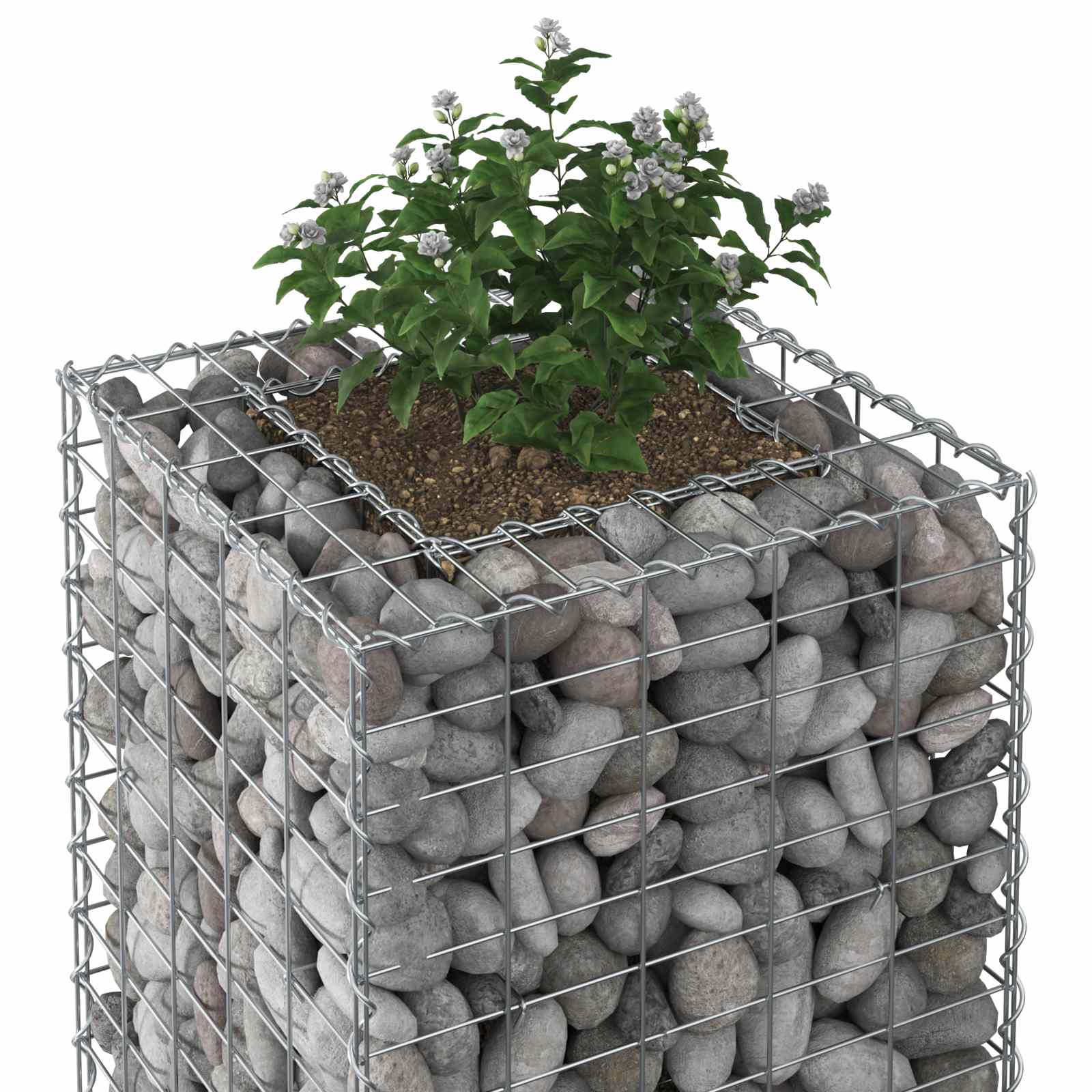 Gabion hevet seng sølv 50 x 50 x 80 cm Galvanisert Stål vidaXL