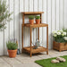 Utendørs pottingbenk 56,5 x 48,5 x 107 cm Solid akasietre