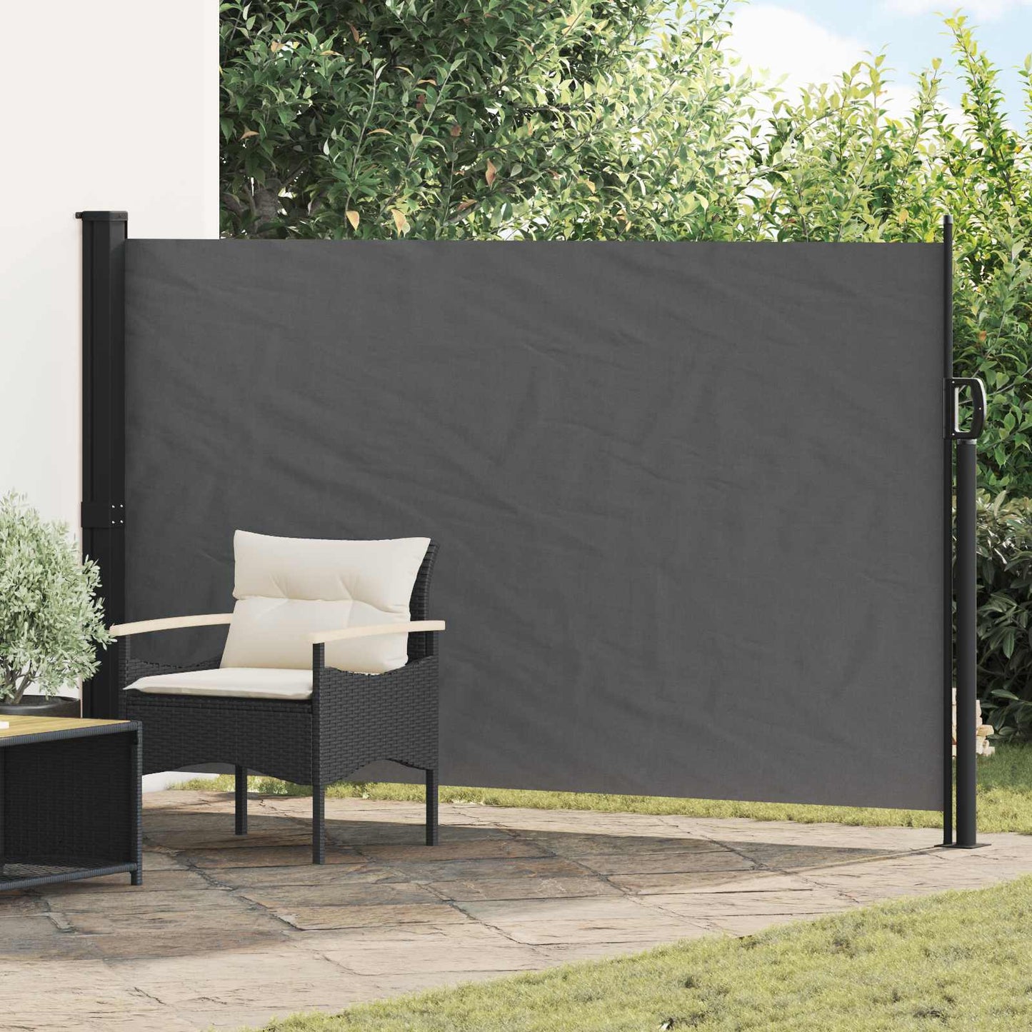 Utklappbart side markise Antrasitt 300 x 170 cm Polyester
