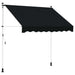 Manuell utskiftbar markise Svart 350 cm