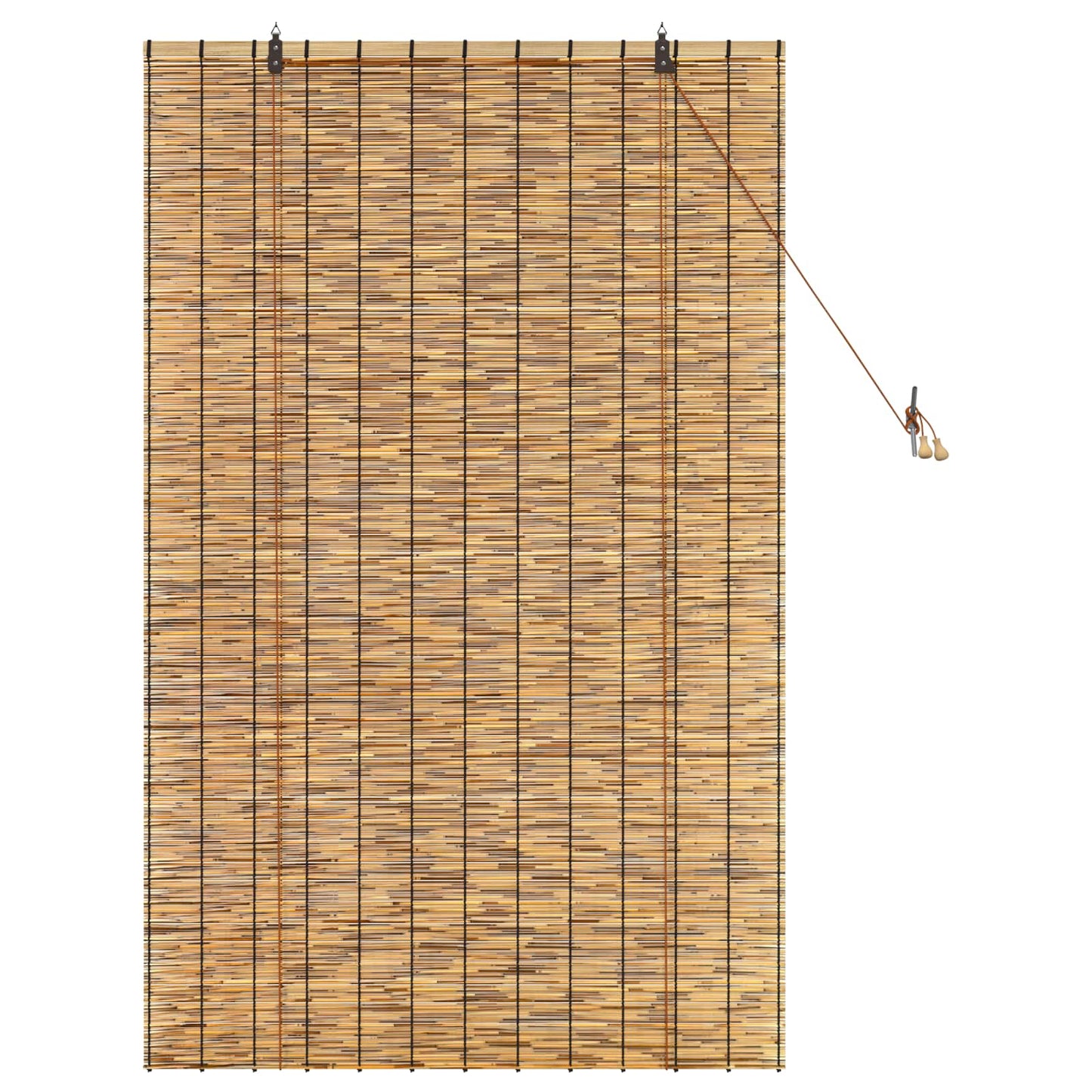 Rullegardin Brun 100 x 160 cm Siv