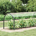 Plante Dekke Gjennomsiktig 20 x 1,5 m PVC